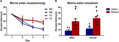 GABA-Aα5 Might Be Involved in Learning-Memory Dysfunction in the Offsprings of Chronic Ethanol-Treated Rats via GABA-Aα5 Histone H3K9 Acetylation